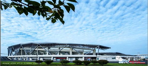 住建局小編和你聊聊 買房時，別忽略城市綠化管理